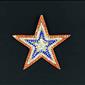 Jewelry - Pendant/Pin - Red, White & Blue Star